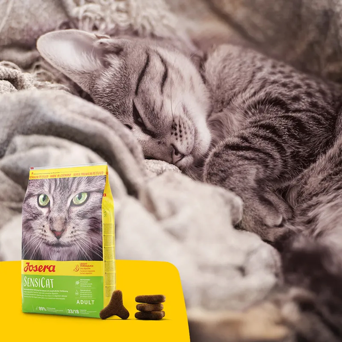 gatti con sensibilità alimentari
