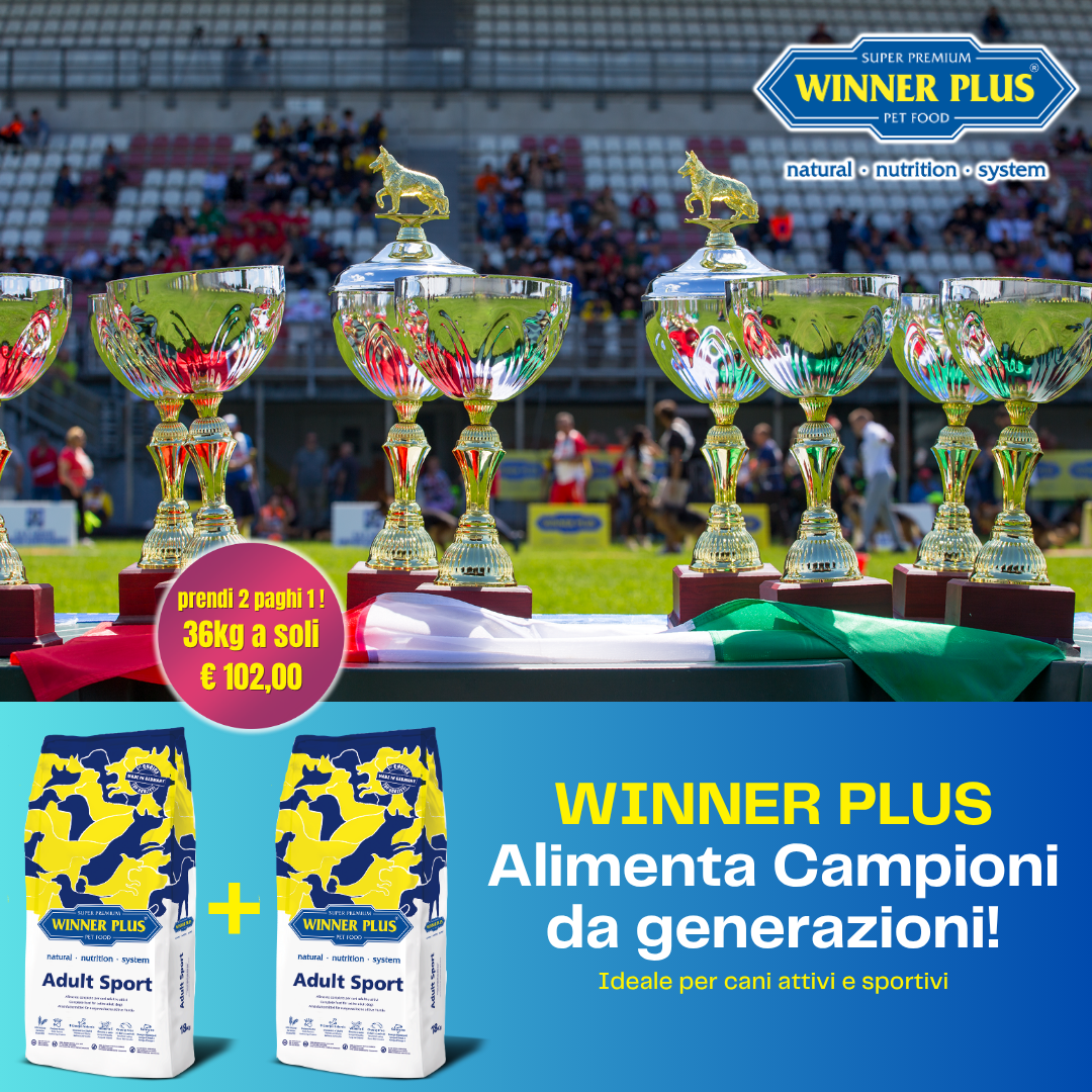 WINNER PLUS Adult Sport