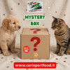 mystery box