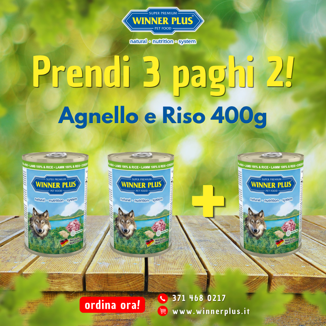 agnello e riso