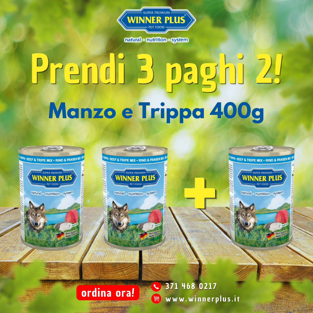 manzo e trippa